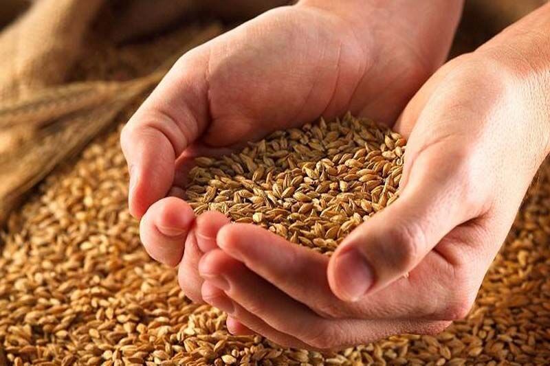 جمع آوری ۱۶۰ میلیارد ریال زکات در استان بوشهر