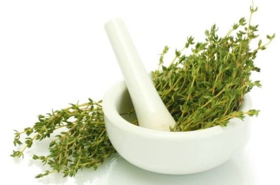 خواص گیاه دارویی آویشن خواص گیاه دارویی آویشن