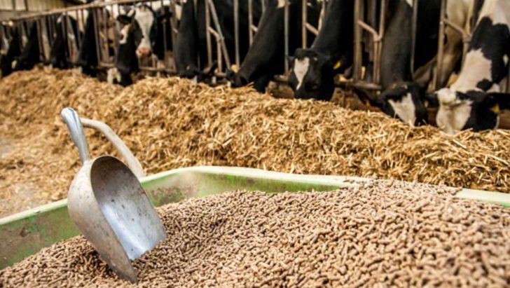 ۹هزار تُن انواع نهاده بین دامداران خوسف توزیع شد