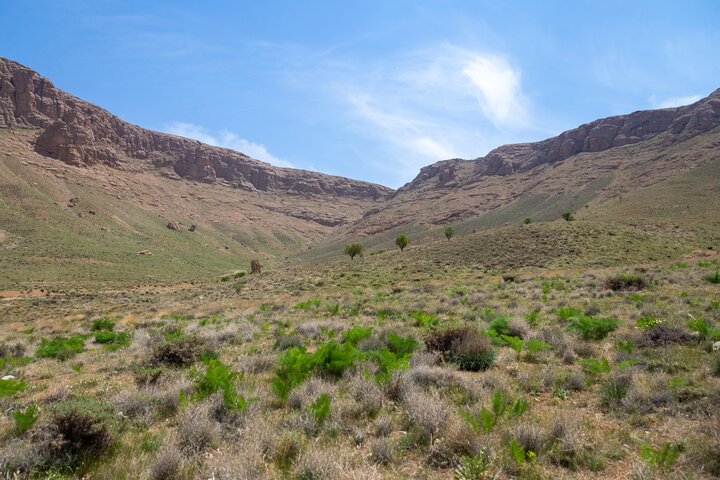 ممنوعیت برداشت محصولات فرعی مرتعی در خراسان جنوبی