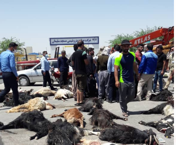 ماجرای تلف شدن دامهای روستاییان در مسجدسلیمان چه بود؟ ماجرای تلف شدن دامهای روستاییان در مسجدسلیمان چه بود؟