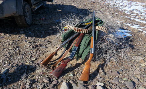 دستگیری متخلف شکار در شوشتر دستگیری متخلف شکار در شوشتر