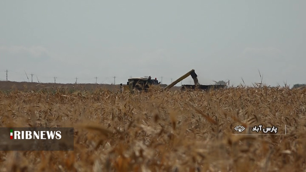 برداشت محصولا کشت پاییزه در شرکت کشت و صنعت ملی پارس برداشت محصولا کشت پاییزه در شرکت کشت و صنعت ملی پارس