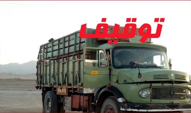 توقیف  هزار و ۱۷۰ قطعه مرغ زنده قاچاق در بیرجند توقیف  هزار و ۱۷۰ قطعه مرغ زنده قاچاق در بیرجند