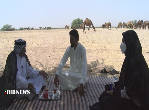 گنجی سرگردان در بیابان های خوزستان گنجی سرگردان در بیابان های خوزستان