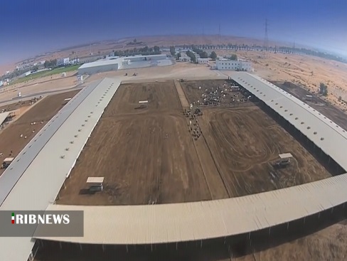 گنجی سرگردان در بیابان های خوزستان گنجی سرگردان در بیابان های خوزستان