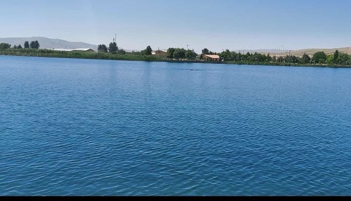 مراقب این آب و نیلوفرهایش باشیم مراقب این آب و نیلوفرهایش باشیم