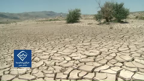 شکم دامهای گرسنه تنها با واردات سیر نمی شود شکم دامهای گرسنه تنها با واردات سیر نمی شود