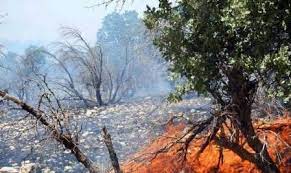 آتش سوزی جنگل کرخه در شوش آتش سوزی جنگل کرخه در شوش