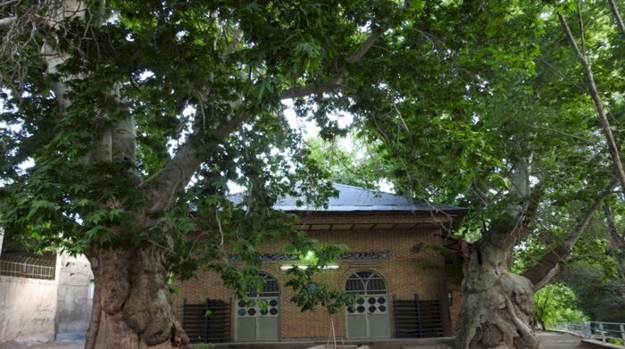 ابلاغ مراتب ثبت ملی ۷ اثر طبیعی به استاندار مرکزی