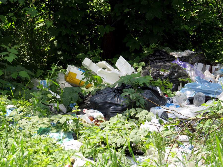 حفظ محیط زیست برای زیست