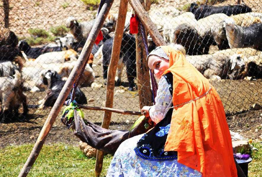 آوای دلنشین کوچ عشایر آذربایجان غربی / زندگی با طعم طبیعت
