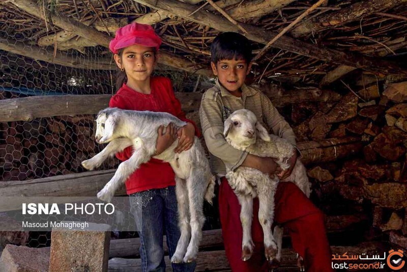 حیوانات و اقوام ایرانی + تصاویر