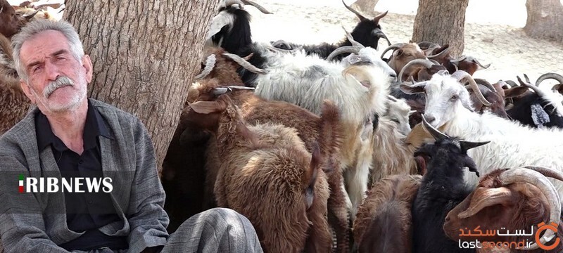 حیوانات و اقوام ایرانی + تصاویر