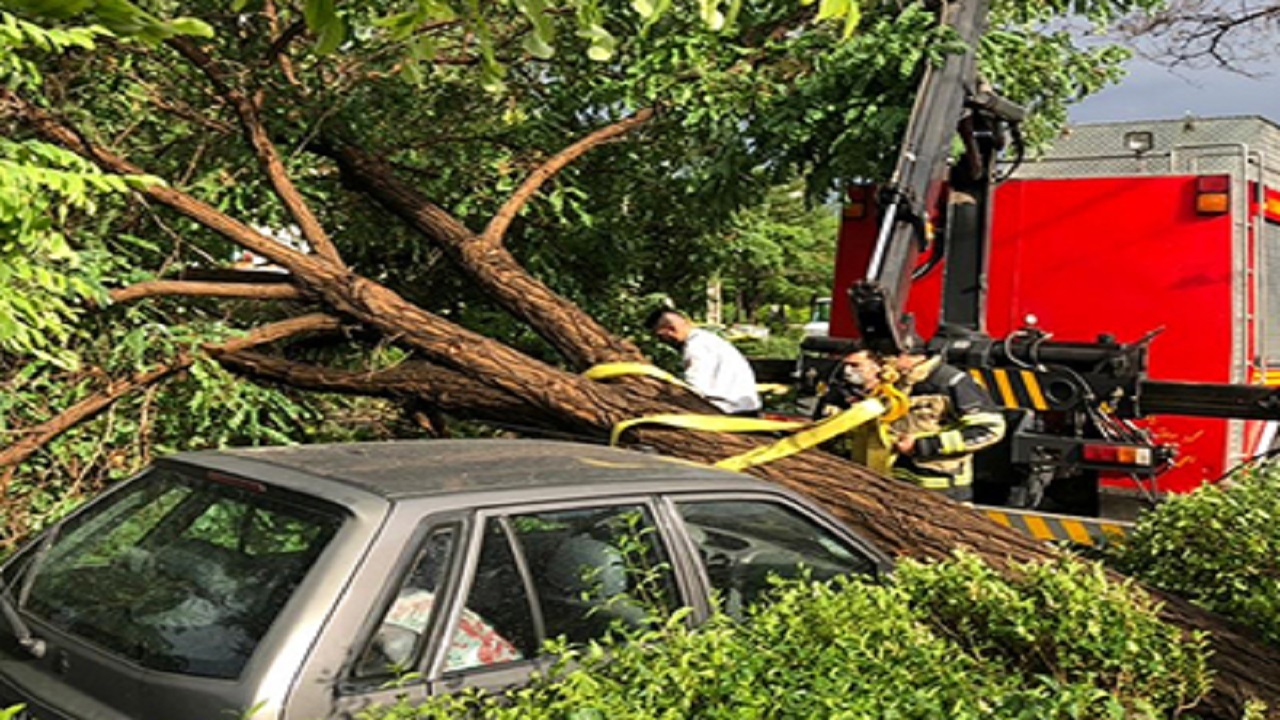 ۳۲ عملیات آتش نشانی قزوین در یک روز