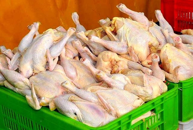 کشف ۱۲ تن مرغ احتکار شده در جهرم کشف ۱۲ تن مرغ احتکار شده در جهرم