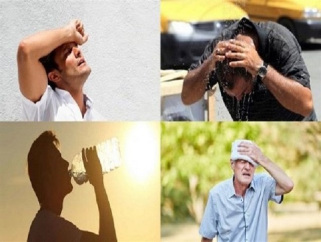 افزایش مرگ و میرها در آمریکا و کانادا بر اثر گرمای بی سابقه افزایش مرگ و میرها در آمریکا و کانادا بر اثر گرمای بی سابقه