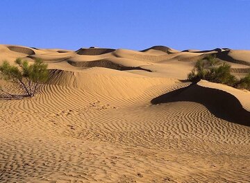 تولد دوباره خاک