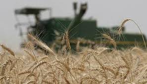 پرداخت غرامت به کشاورزان خسارت دیده خوزستانی