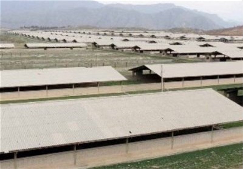 مجتمع کشت و صنعت زیاران باید ۱۰ برابر گذشته فعالیت داشته باشد مجتمع کشت و صنعت زیاران باید ۱۰ برابر گذشته فعالیت داشته باشد