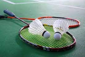 معرفی برترین های بدمینتون دختران کشور در دلیجان