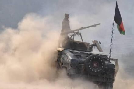 اعلام آمادگی شیر هرات برای مقابله با طالبان