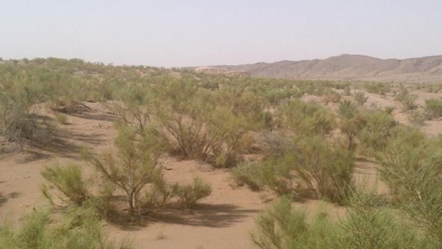 مهمانی که دیگر صاحبخانه شده مهمانی که دیگر صاحبخانه شده