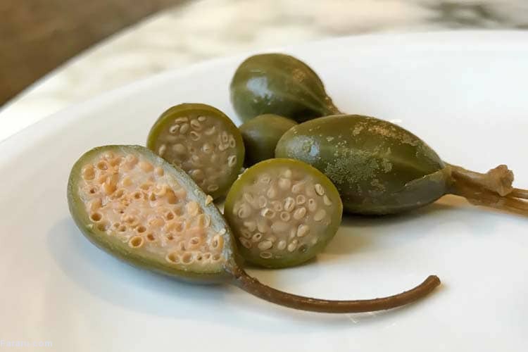 خواص درمانی گیاه کاپاریس یا لَگجی