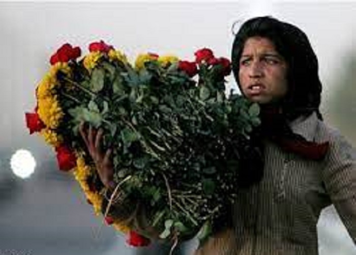 کودکان کار؛ قربانیان کوچک فقر