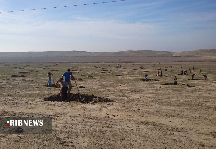 ریزگرد؛ سوغات سهل انگاری برای شمال کشور ریزگرد؛ سوغات سهل انگاری برای شمال کشور