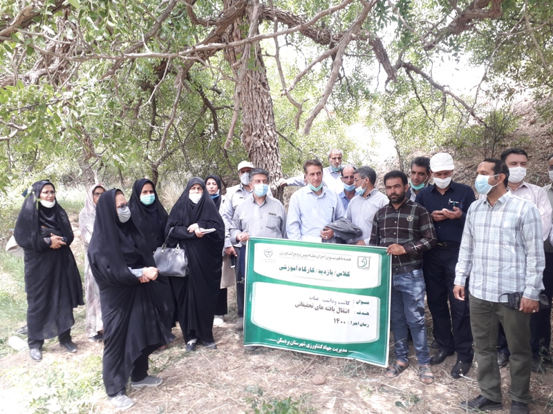 عدم کسب درآمد اقتصادی کشاورزان بردسکنی از محصول عناب عدم کسب درآمد اقتصادی کشاورزان بردسکنی از محصول عناب