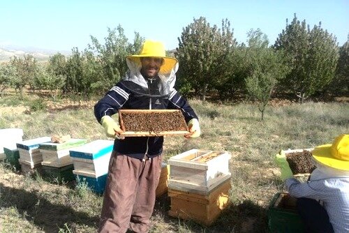 ابلاغ اعتبار تفاهم نامه‌های مشترک صندوق کارآفرینی امید، بنیاد برکت و بنیاد علوی