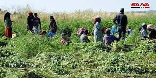 سوریه نماد ایستادگی یک ملت سوریه نماد ایستادگی یک ملت