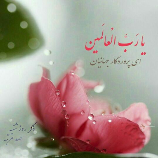 آرامش درونی و افزایش رزق و روزی از فواید ذکر روزهای هفته