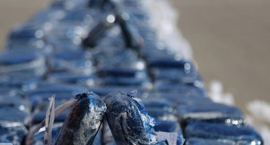 بیش از ۹۰ درصد کشفیات در مرزهای شرقی است بیش از ۹۰ درصد کشفیات در مرزهای شرقی است