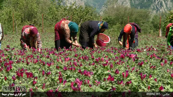 اجرای طرح‌های اشغالزا در روستا‌های مارگون