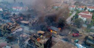افزایش شمار تلفات آتش سوزی جنگلی در ترکیه