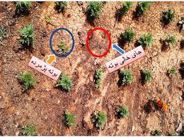 واکاری ۲ هزار و ۵۰۰ هکتار از اراضی منابع طبیعی اصفهان واکاری ۲ هزار و ۵۰۰ هکتار از اراضی منابع طبیعی اصفهان