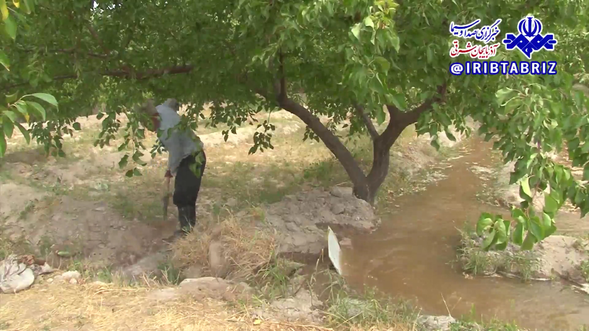 گذر از خشکسالی با مدیریت آب سد علویان مراغه گذر از خشکسالی با مدیریت آب سد علویان مراغه