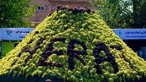 هرات؛ ولایتی در همسایگی ایران با بیش از ۷۰ نوع انگور