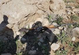 دستگیری شکارچی غیرمجاز در شهرستان سرایان دستگیری شکارچی غیرمجاز در شهرستان سرایان