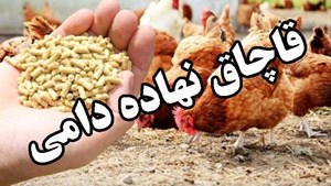 کشف یک محموله نهاده دامی قاچاق در لوشان