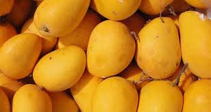 انبه؛ میوهای با  خاصیت های حیرتانگیز انبه؛ میوهای با  خاصیت های حیرتانگیز