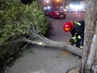انجام ۳۰عملیات امدادی در پی تندباد شیراز