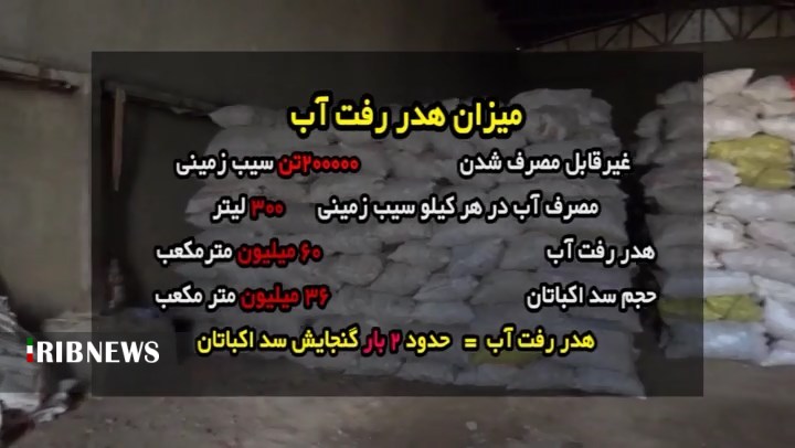 بلا استفاده شدن بیش از ۲۰۰ هزار تن سیب زمینی در انبار‌های استان همدان