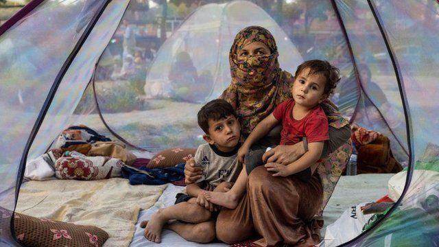 نگاهی جدید در پوسته زیرین طالبان