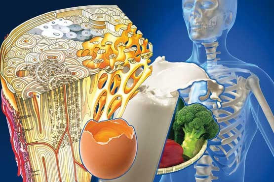 پیشگیری از پوکی استخوان با مصرف کلسیم
