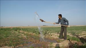 عقد قرارداد تابستانه فقط با ارائه معرفی نامه کتبی