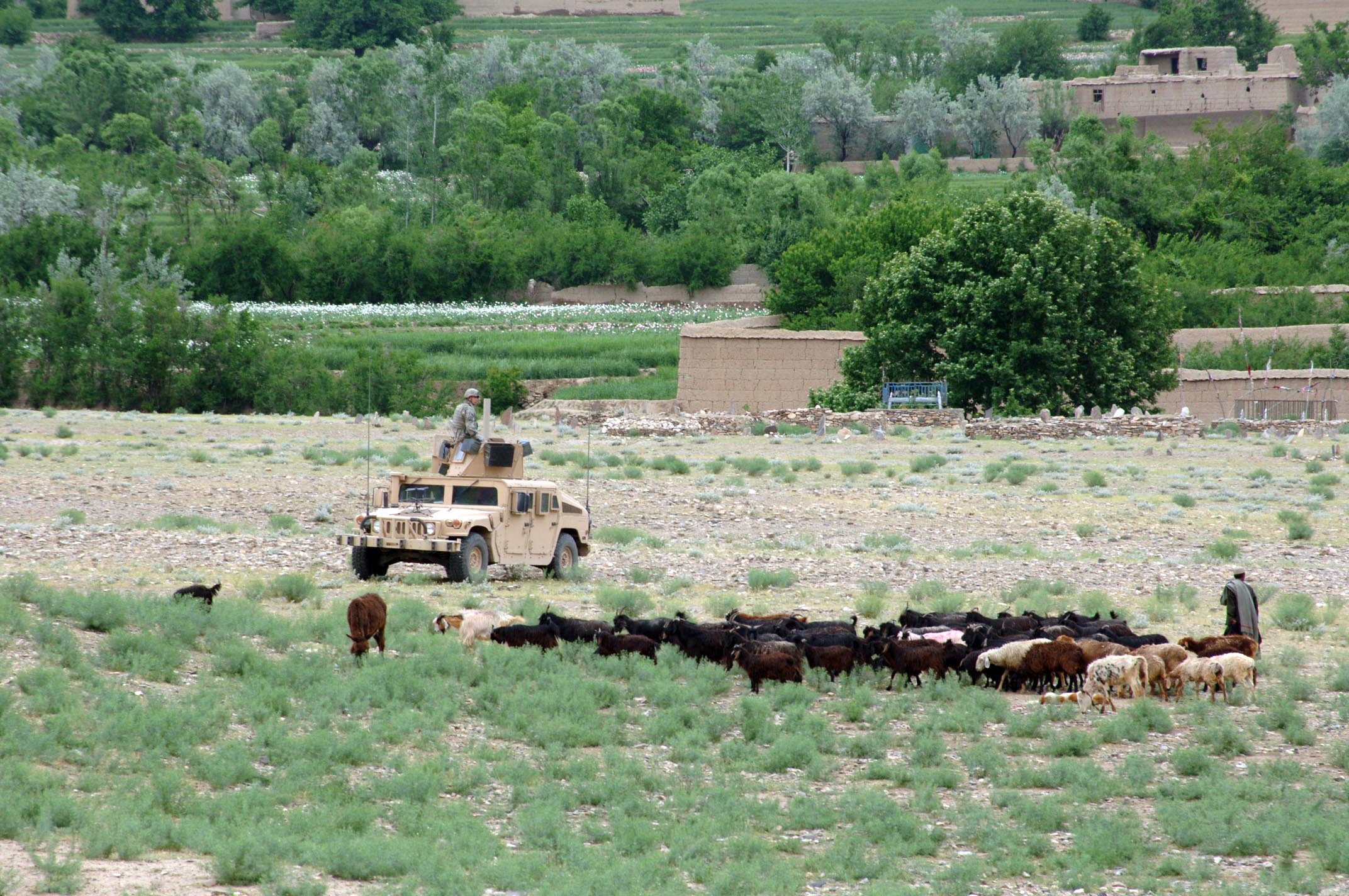 کاپیسا؛ ولایتی سرسبز در دامنه کوههای هندوکش کاپیسا؛ ولایتی سرسبز در دامنه کوههای هندوکش
