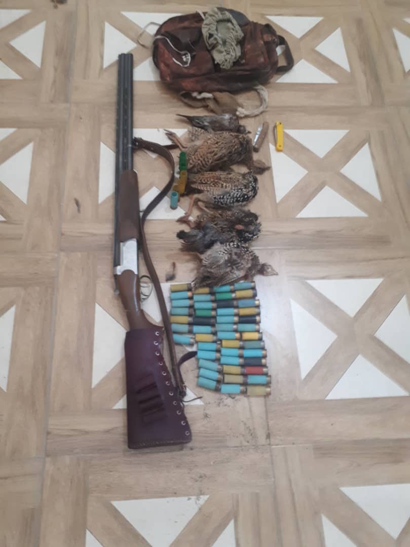 دستگیری متخلفان شکار غیر مجاز پرنده در پارک ملی دز دستگیری متخلفان شکار غیر مجاز پرنده در پارک ملی دز